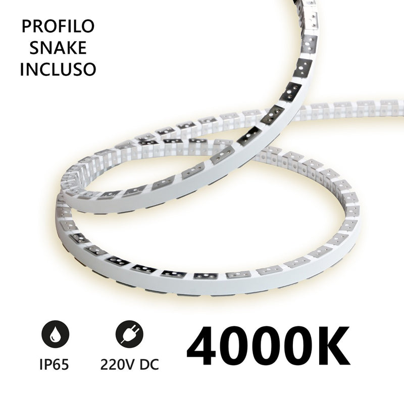 Striscia LED Snake Flex 20m IP65 230V 4000K 11W/m