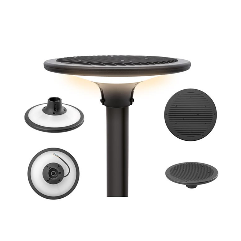 Testa Palo LED 220V 80W
