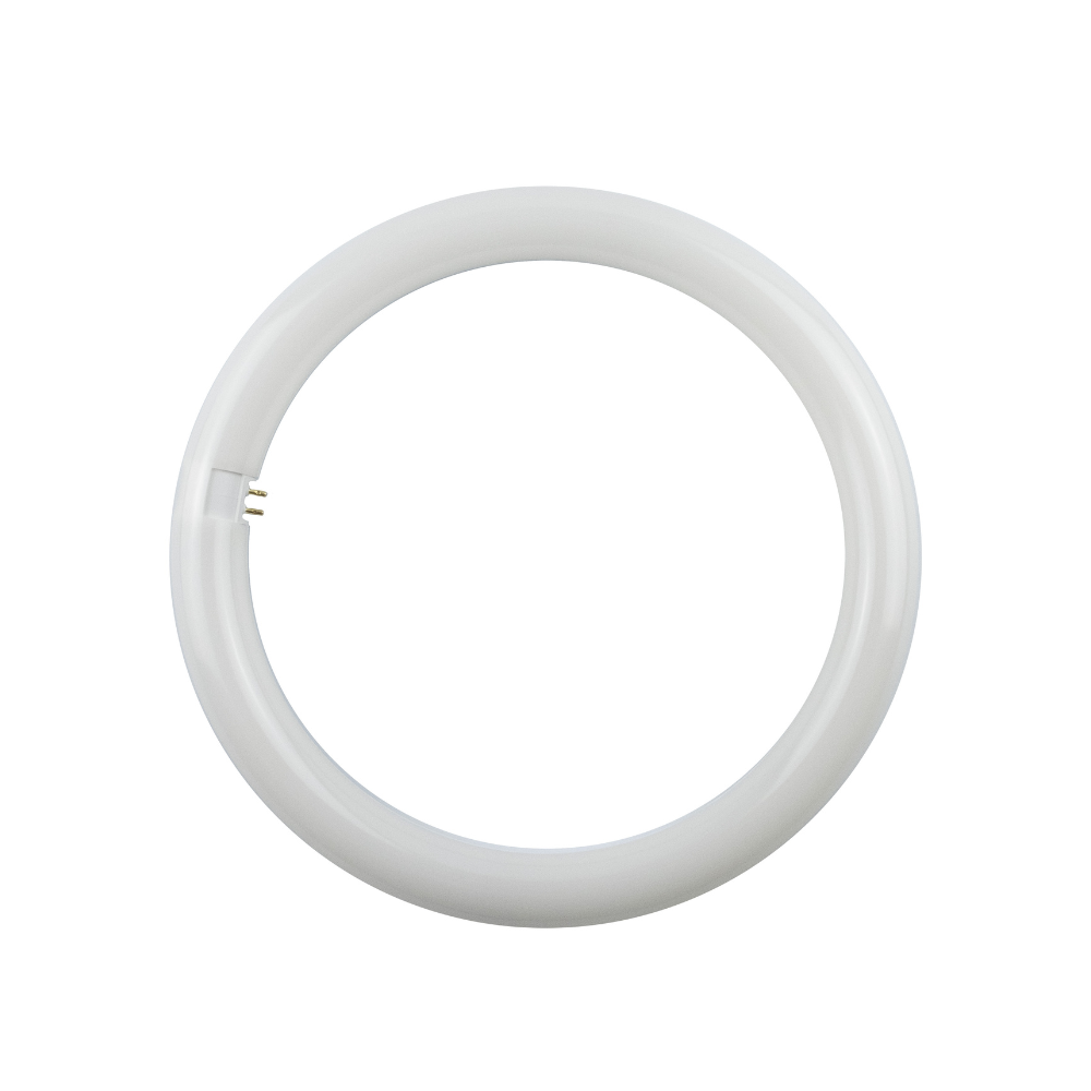 Circoline LED