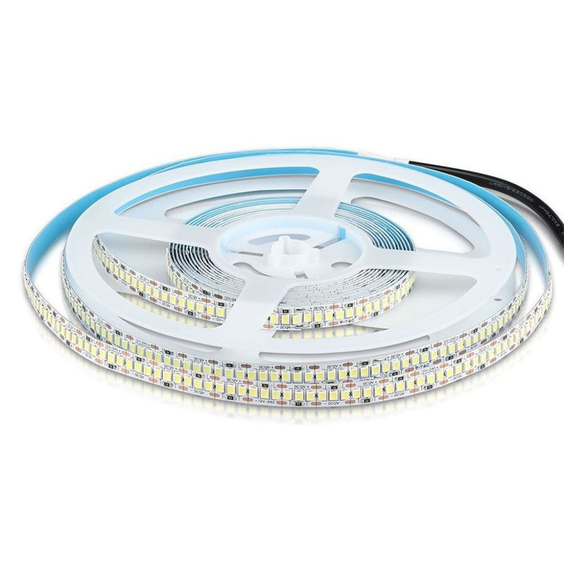 Strip LED SMD2835 18W/m 5m 240 LED/m 3000Lm/m 12V 6000K IP20 10mm