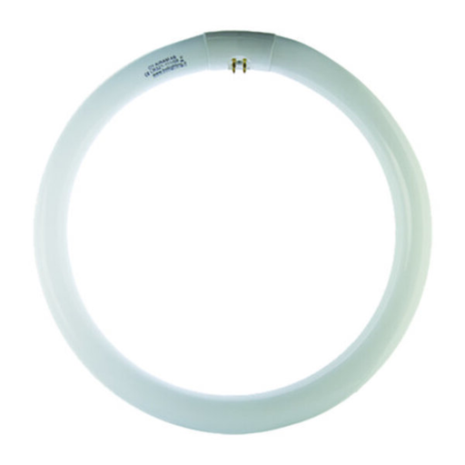 CIRCOLINA TRISFOSFORO T9 22W 6500K - ElettroWatt.eu