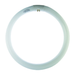 CIRCOLINA TRISFOSFORO T9 22W 6500K - ElettroWatt.eu