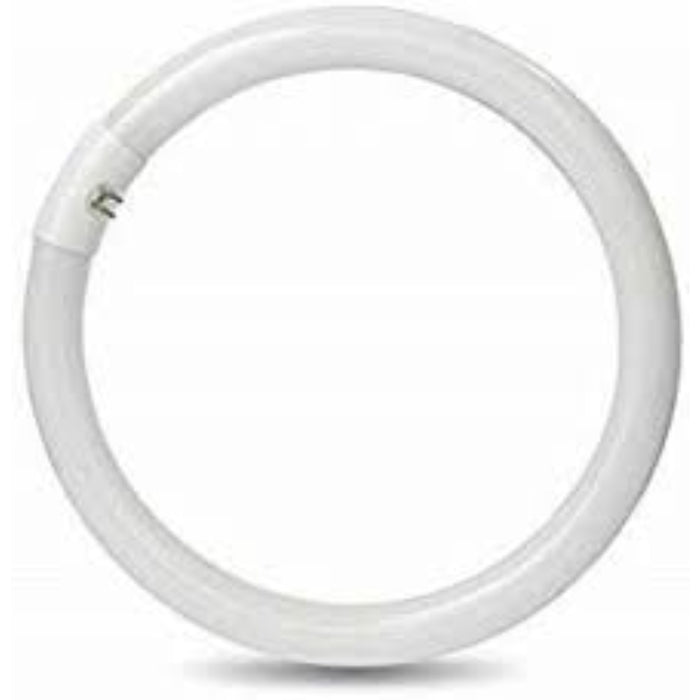 CIRCOLINA TRISFOSFORO T9 32W LUCE 6500K - ElettroWatt.eu