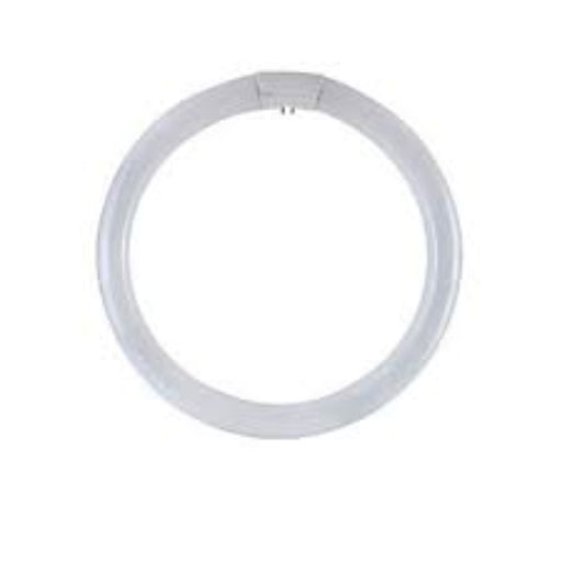 LAMPADA FLUORESCENTE CIRCOLINA T9 40W/865 LUCE 6500K - ElettroWatt.eu